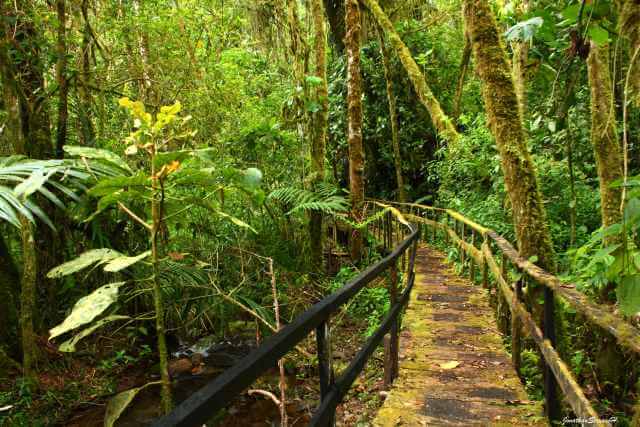 Costa Rica Familienurlaub, Familienreise Costa Rica, Regenwald Familienreise