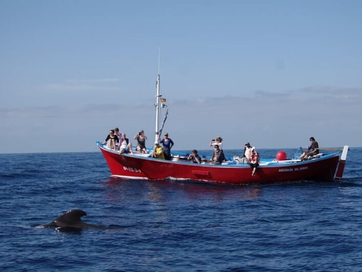 Kanaren Individualreise, La Gomera individuell entdecken, Delfinreise Kanaren