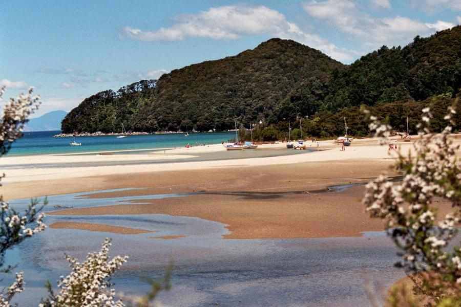 Abel Tasman Neuseeland, Reisebericht Neuseeland Südinsel