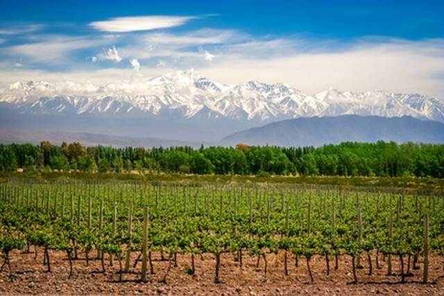 Weingut nahe Mendoza Argentinien