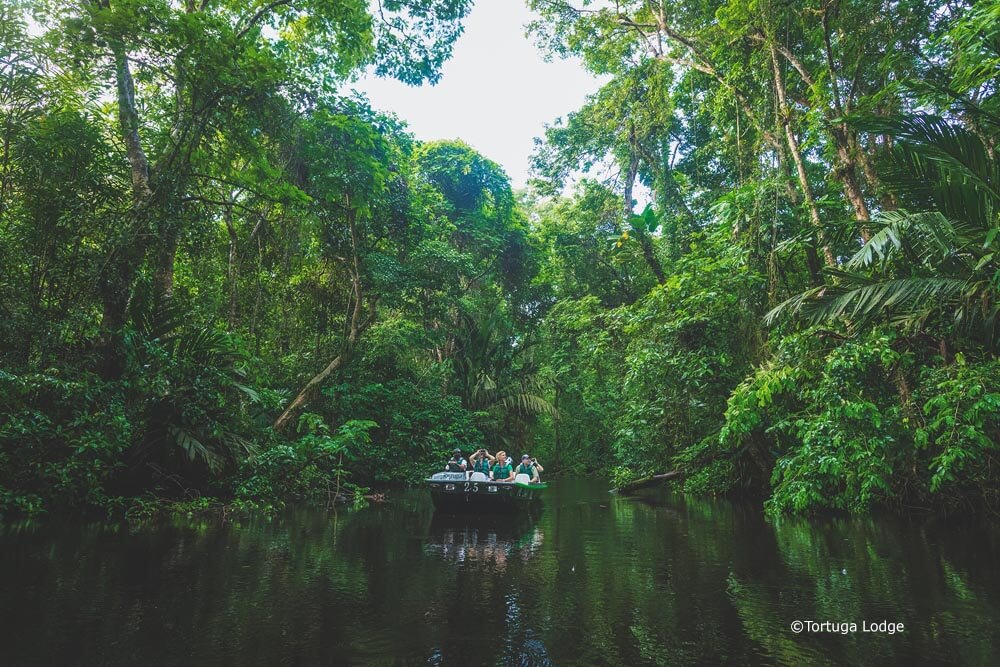 Bootstour Dschungel, Costa Rica Dschungelreise, Regenwald Reise