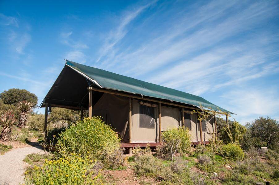 Buffelsdrift Lodge Südafrika, Lodge Garden Route