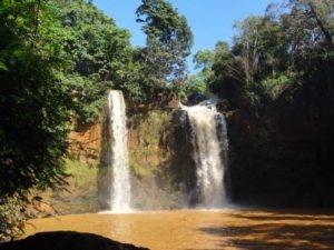 Individualreise Kenia, Wandern in den Aberdares