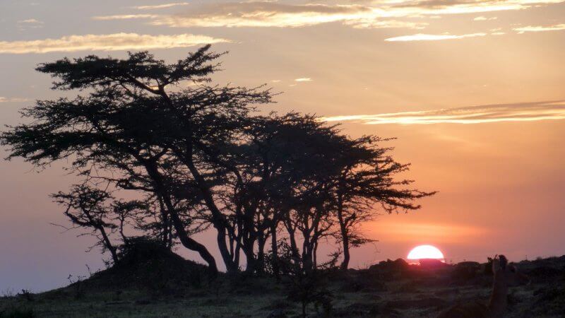 Kenia Individualreise, Kenia Abenteuerreise, Safarireise Kenia