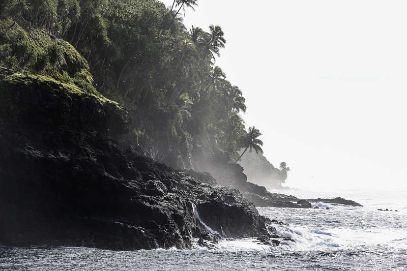 Küste von Tahiti mit Felsen und Palmen. Erster Stopp beim Tahiti Inselhopping.