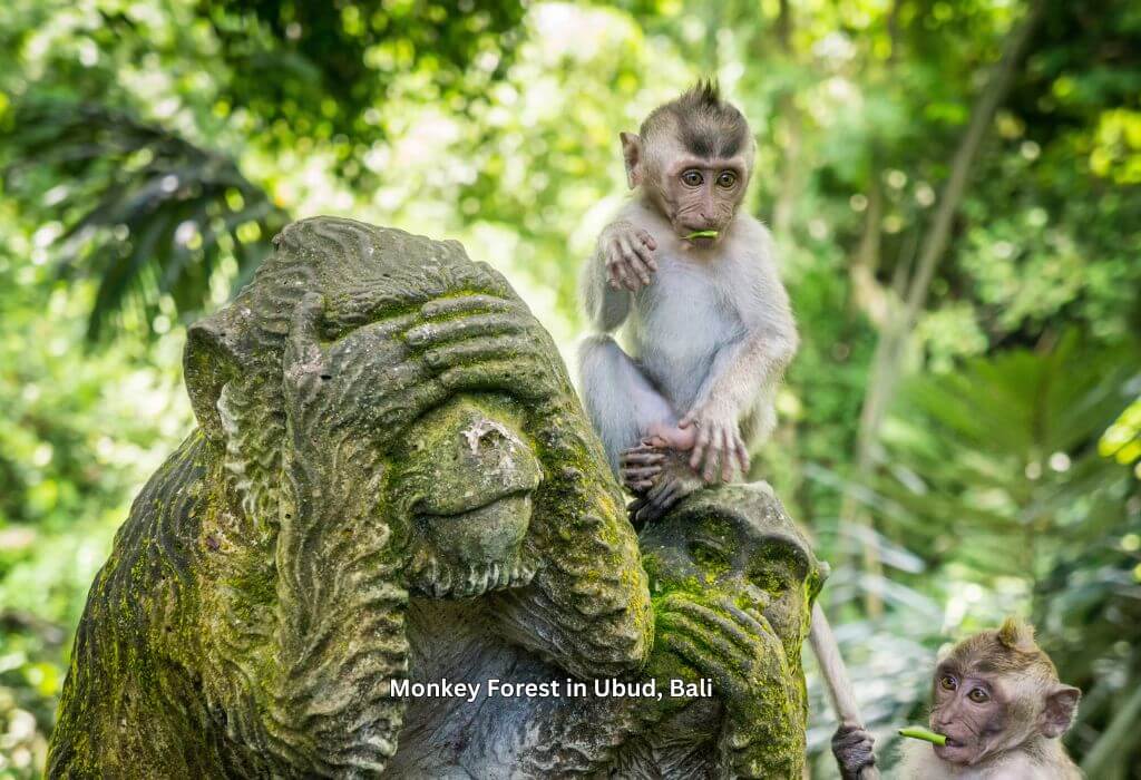 Affe auf Affenstatue im Monkey Forest in Ubud auf Bali