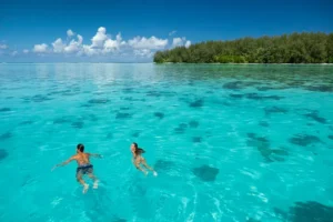 Urlauber beim Schwimmen in der türkisblauen Lagune von Moorea mit einem Motu im Hintergrund.