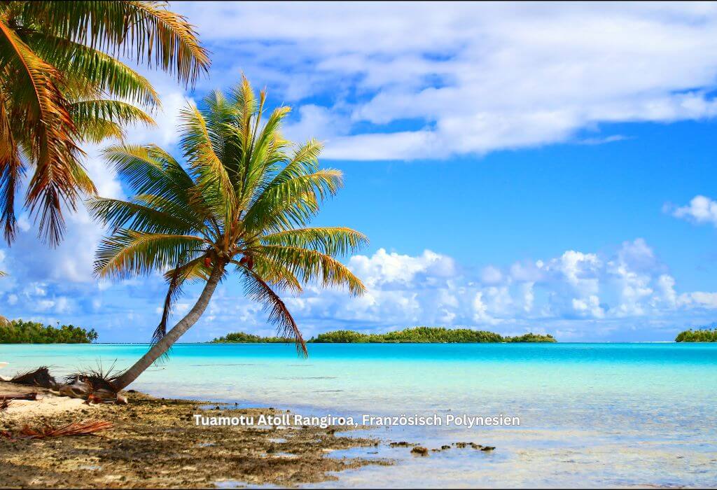Lagune der Südsee Insel Rangiroa mit Palmen und türkisblauem Meer
