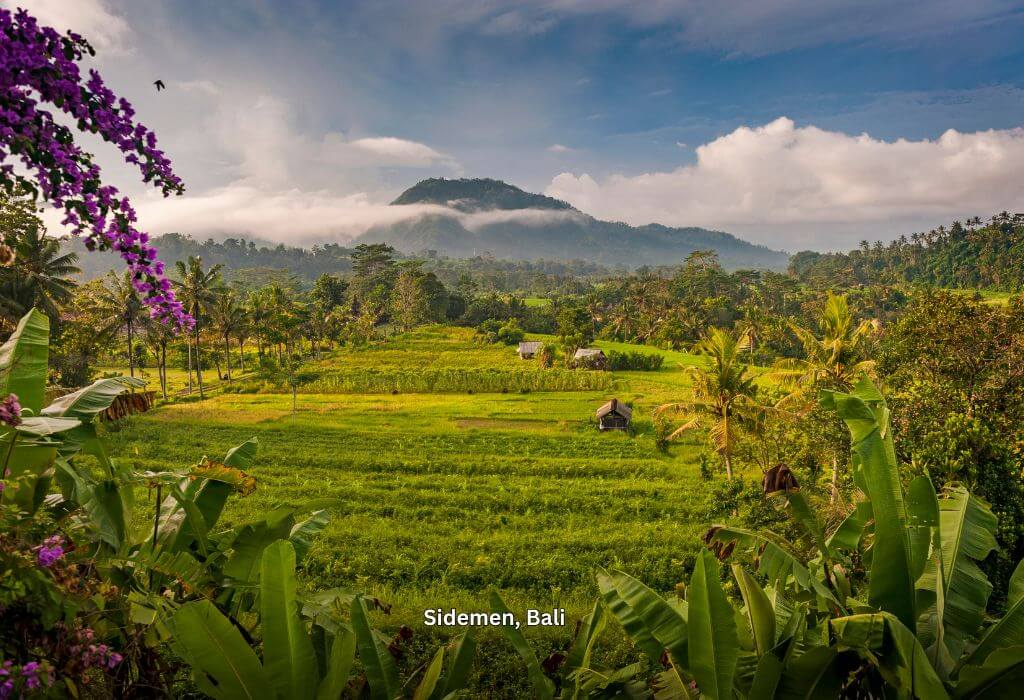 Reisterrassen auf Bali mit Blick auf den Berg