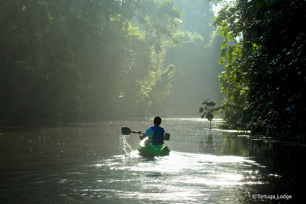 Tortuguero Dschungelreise, Costa Rica Reise, Regenwald Reise Costa Tica