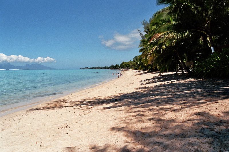Trauminsel Reise nach Tahiti mit weißem Sandstrand und Blick auf Moorea