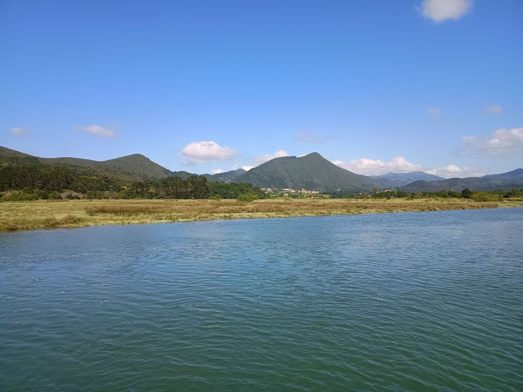 Das Biosphärenreservat Urdaibai ist Heimat vieler Vögel.