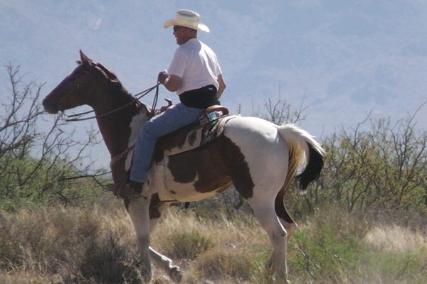 Familienurlaub Arizona, Arizona Ranch, Urlaub Alleinerziehend mit kind
