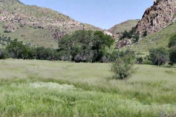Familienurlaub Arizona, Arizona Ranch, Urlaub Alleinerziehend mit kind