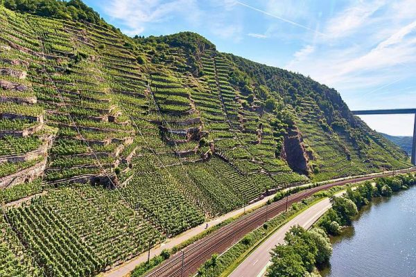 Gourmetreise Rhein Mosel, Kulinarische Reise Rheingau