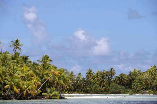 Flache Atoll Insel Rangiroa im Tuamotu Archipel. Letzte Station beim Inselhüpfen in Französisch Polynesien.
