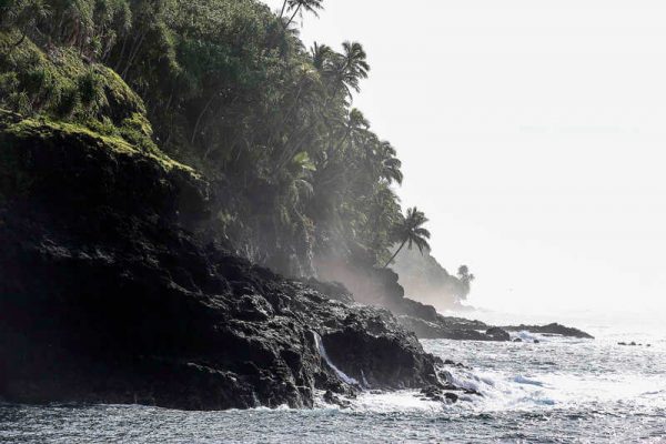 Küste von Tahiti mit Felsen und Palmen. Erster Stopp beim Tahiti Inselhopping.