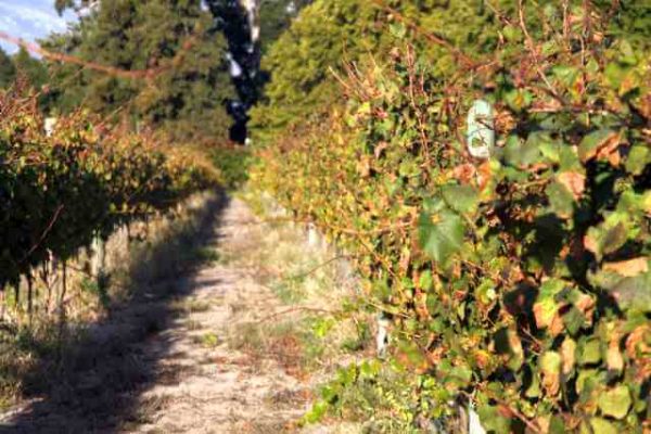 Südafrika Reise von Johannesburg bis Kapstadt, Südafrika Erlebnisreise