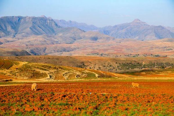 Südafrika Reise von Johannesburg bis Kapstadt, Südafrika Erlebnisreise