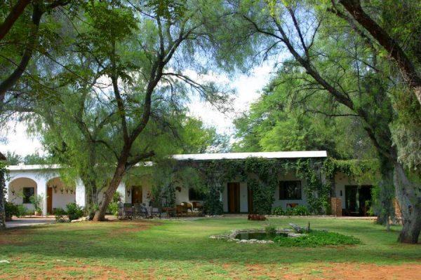 namibia Gästefarm, Kuzikus,