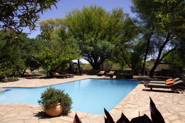 namibia Gästefarm, Kuzikus