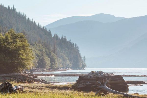Küste auf der Kanada Autoreise mit Blick auf das Meer und die Wälder