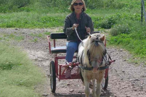 Familienurlaub Arizona, Arizona Ranch, Urlaub Alleinerziehend mit kind