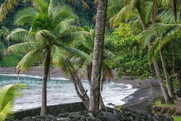 Schwarzer Sandstrand mit Palmen auf der polynesischen Hauptinsel Tahiti.