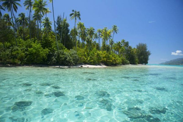 Polynesische Trauminsel Moorea mit türkisblauem Meer und Palmen