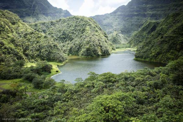 Grünes Inselinneres in Französisch Polynesien mit tropischem Wald und See