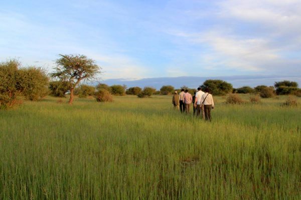 namibia Gästefarm, Kuzikus