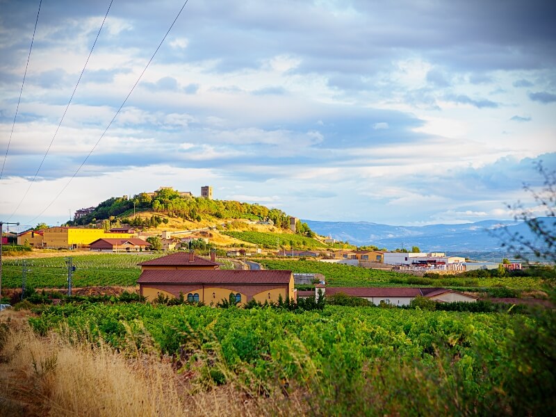 Fahrt in die Rioja Alavesa mit dem Ort Laguardia auf einem Hügel und Weinfeldern davor